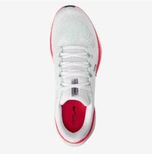 Men's Air Zoom Pegasus 41 Shoe In White/mint