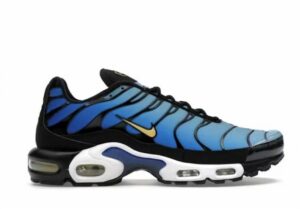 Big Kids' Air Max Plus Sneaker In Black/skyblue Chamois