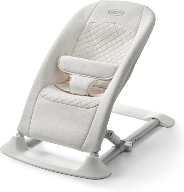 Graco JumpStart 4-in-1 Activity Bouncer (Wren)